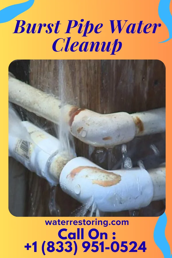 Burst Pipe Water Cleanup in Capitol View, SC