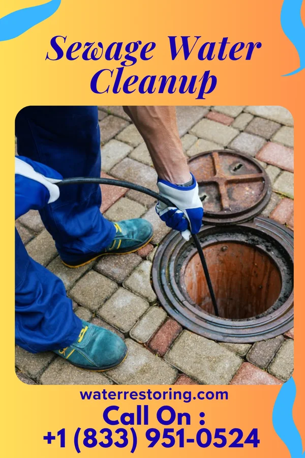 Sewage Water Cleanup in Capitol View, SC
